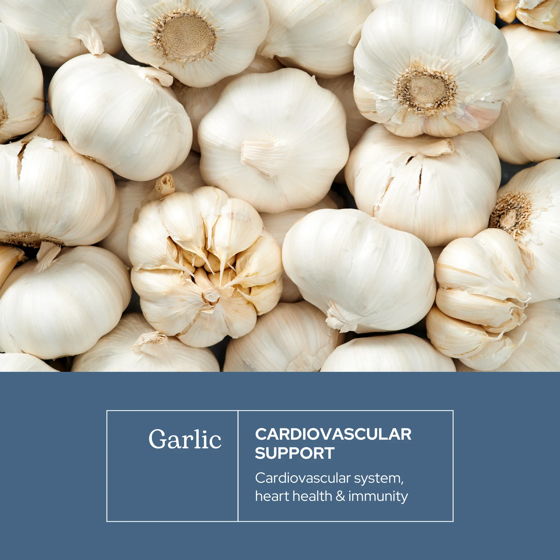 Eclectic Herb Garlic 550mg - 120 Capsules
