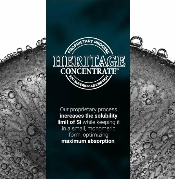 Orgono Living Silica® 1000mL