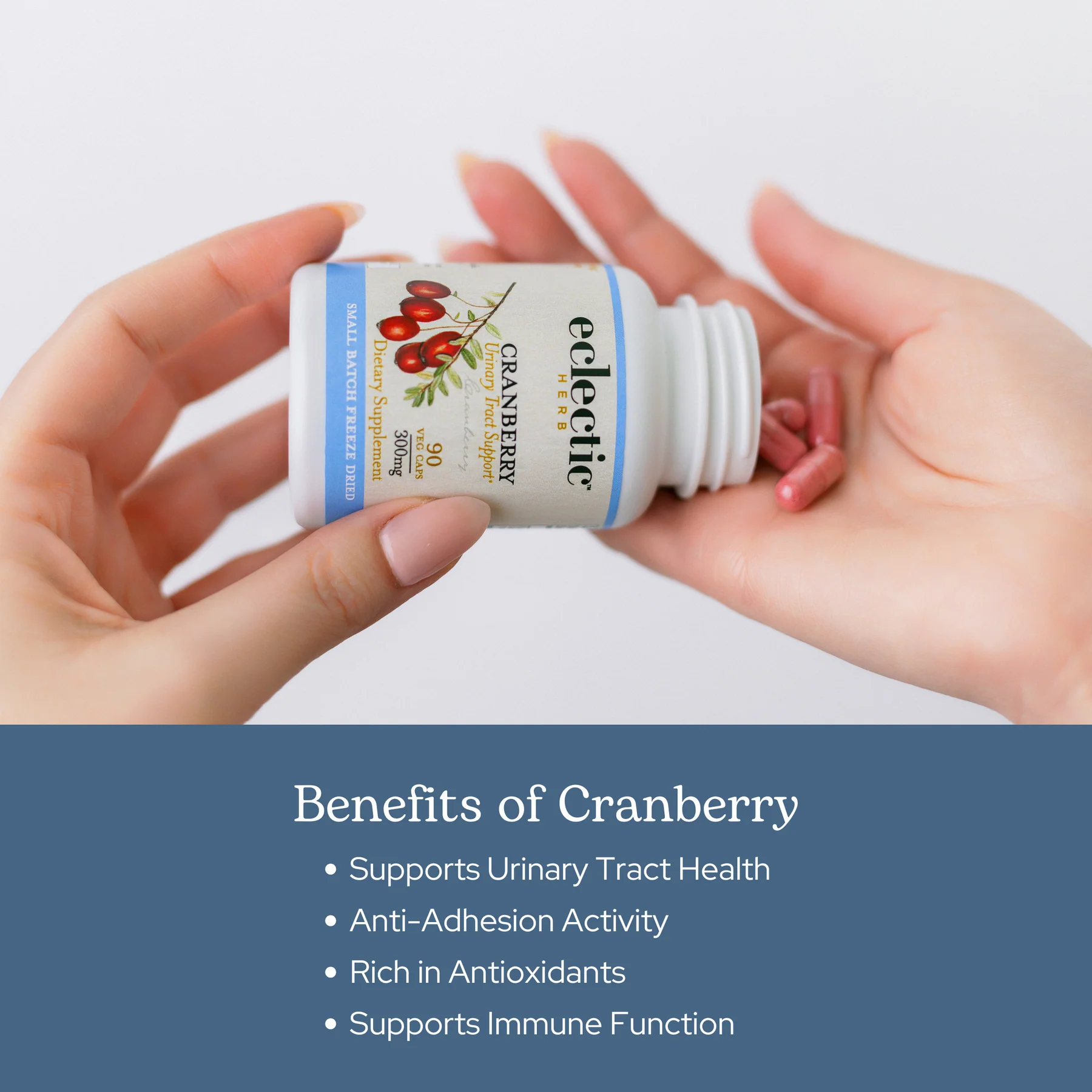 Eclectic Herb Cranberry 300mg - 50 Capsules