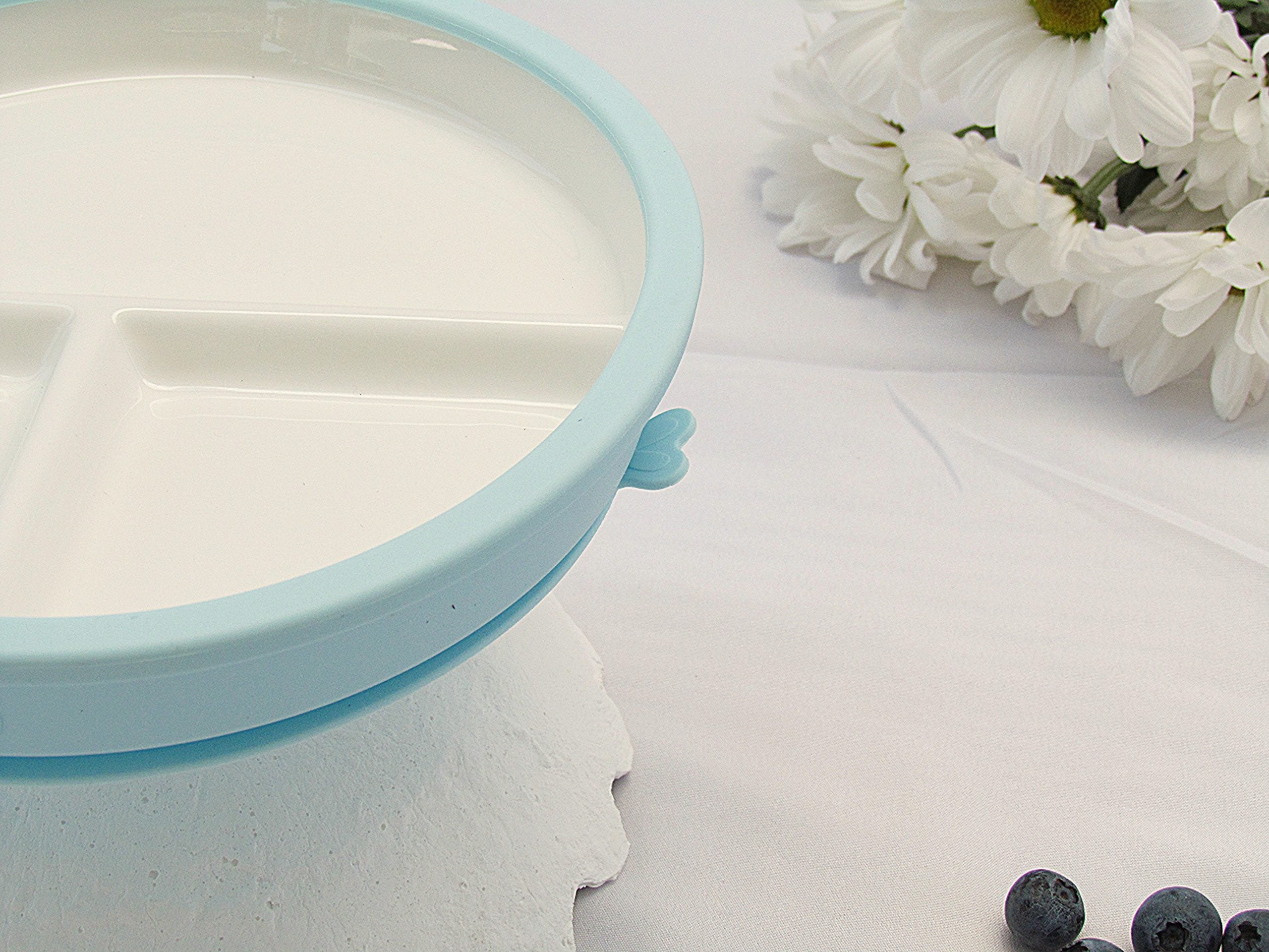 Porcelain & Silicone Suction Toddler Plate - Spring Blue