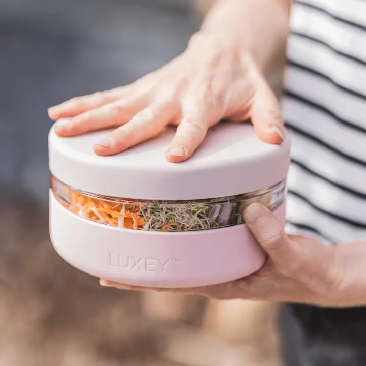 LUXEY Ultimate On-The-Go Lunch Bowl (Tangled)